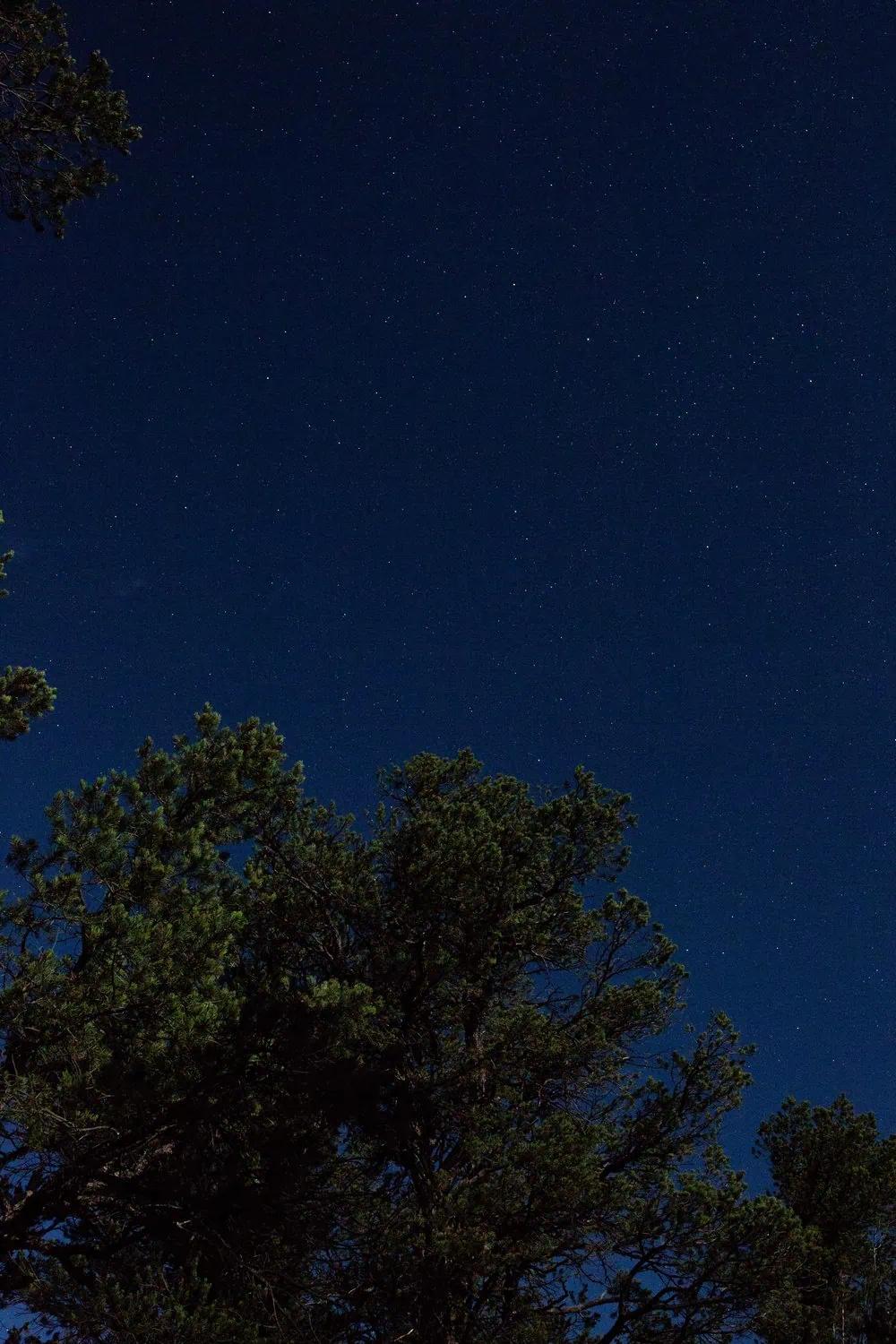 starry night sky grand canyon
