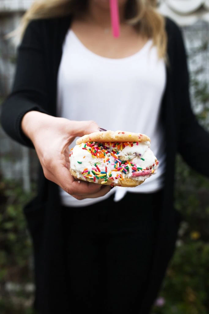ice cream sandwich with sprinkles