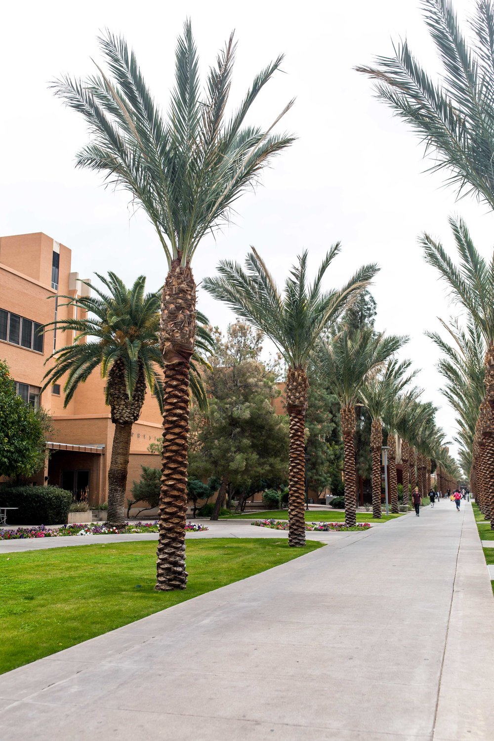 arizona state university campus