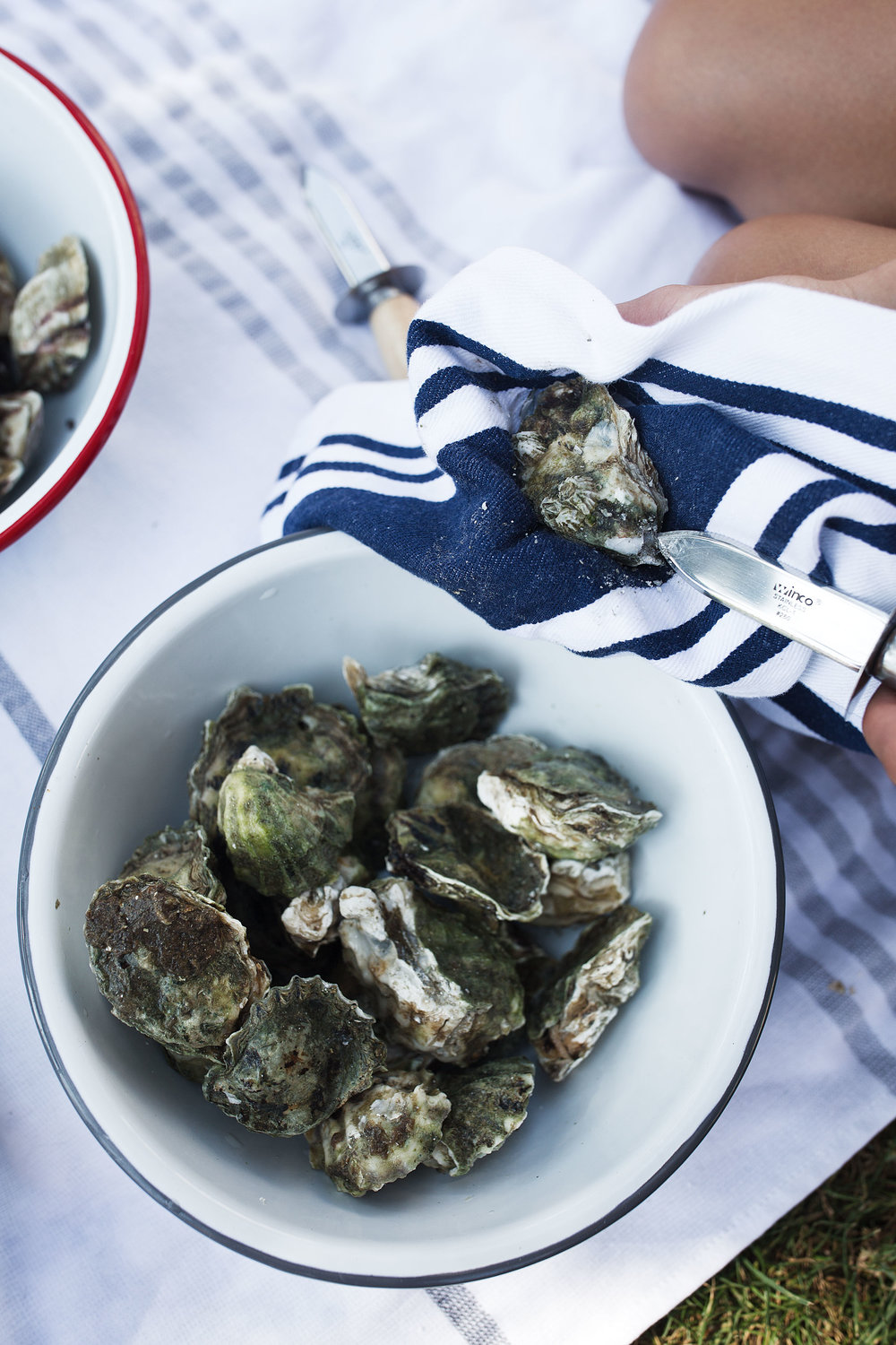 how to shuck oysters