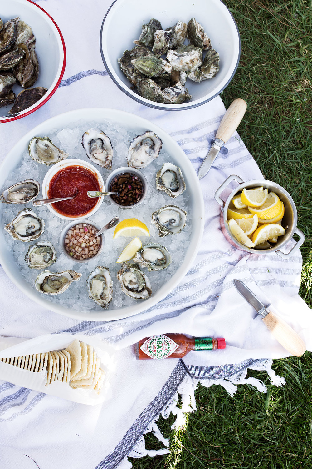 shuck yeah: all about oysters, shellfish picnic in the park