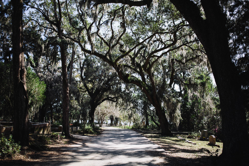 bonaventure spanish moss