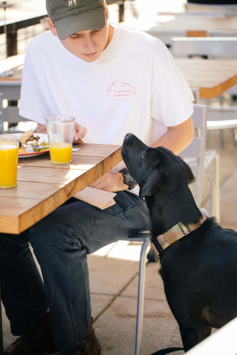 biscuits on table 