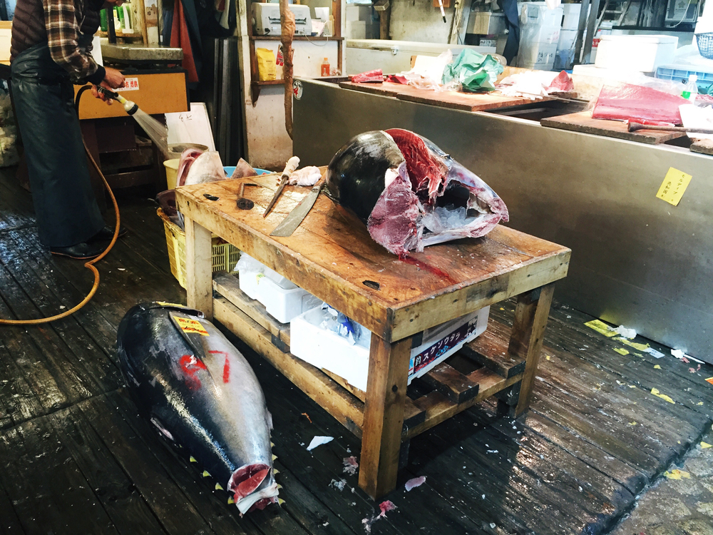 Tuna in various stages at the Tsukiji fish market in Tokyo