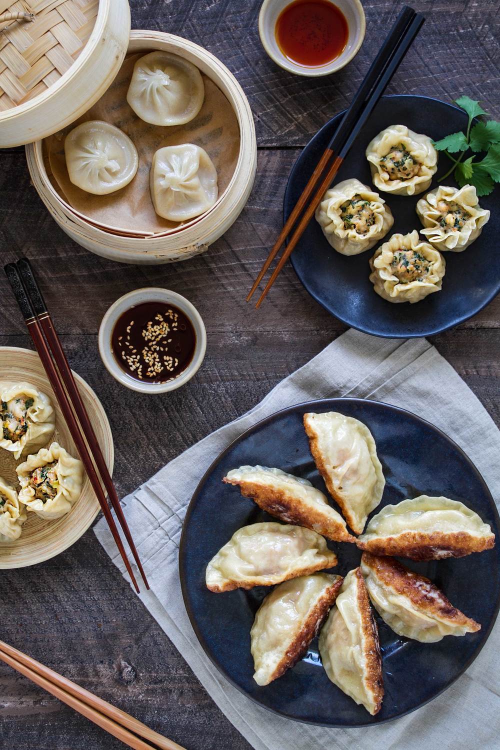 potstickers and homemade dumplings