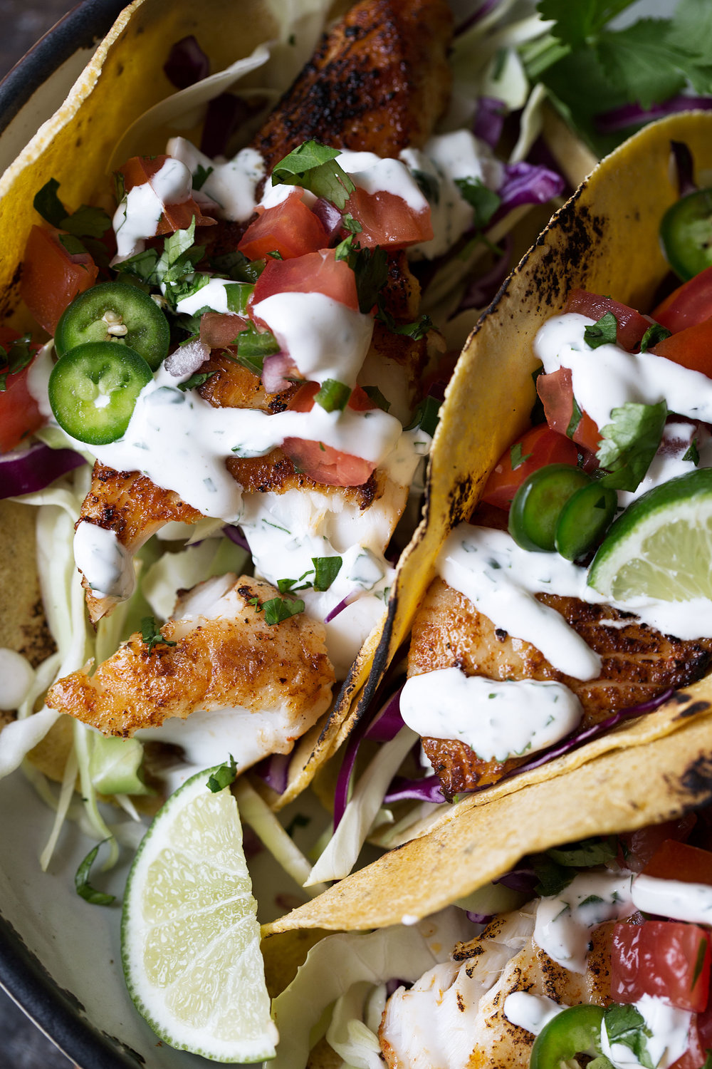 closeup fish tacos with cilantro lime sauce recipe