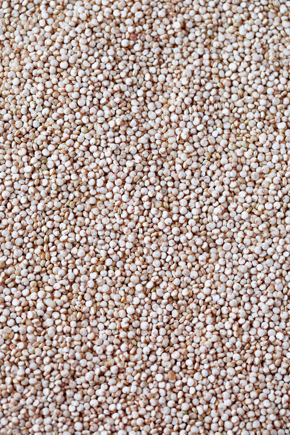quinoa grains