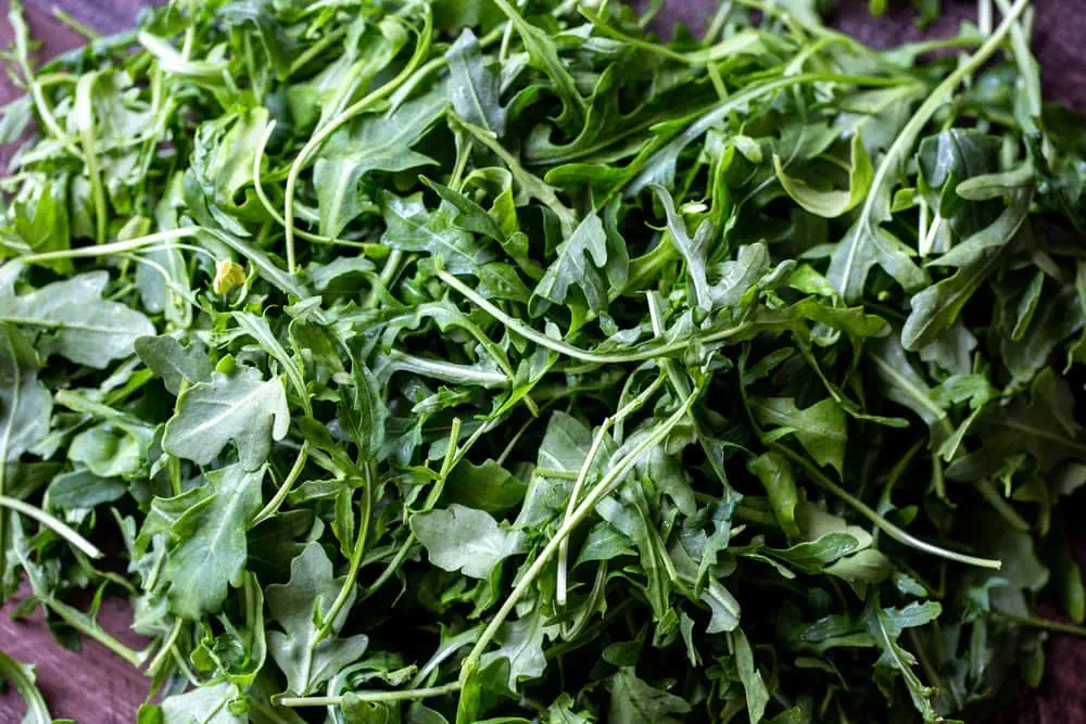 wild arugula