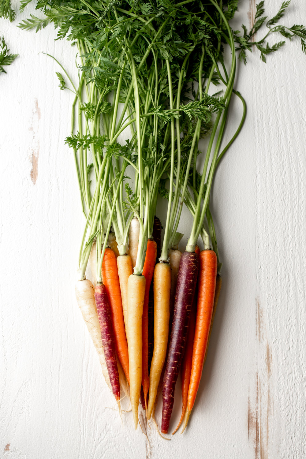 multicolor carrots with tops