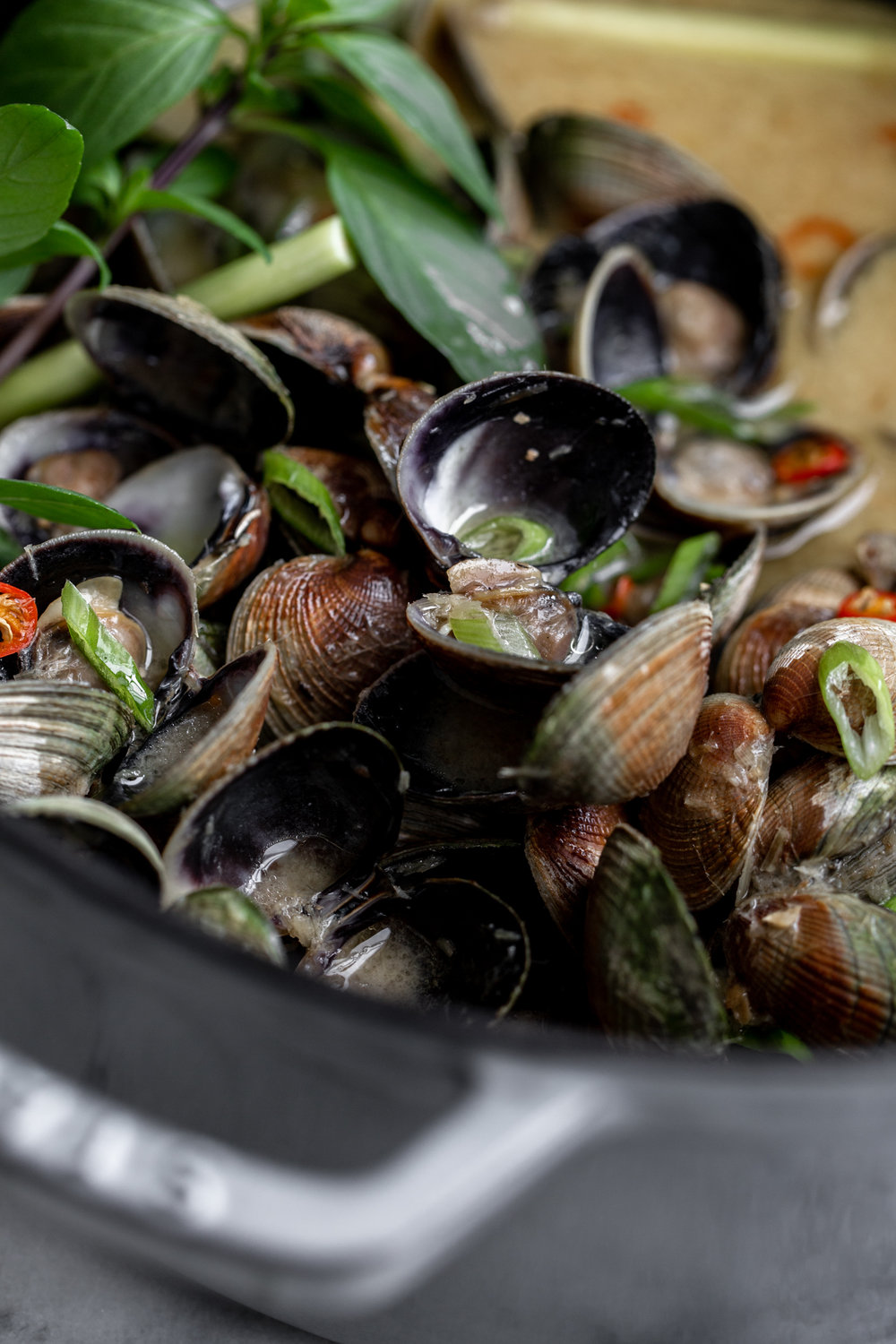 thai lemongrass coconut clams with green onion and thai basil