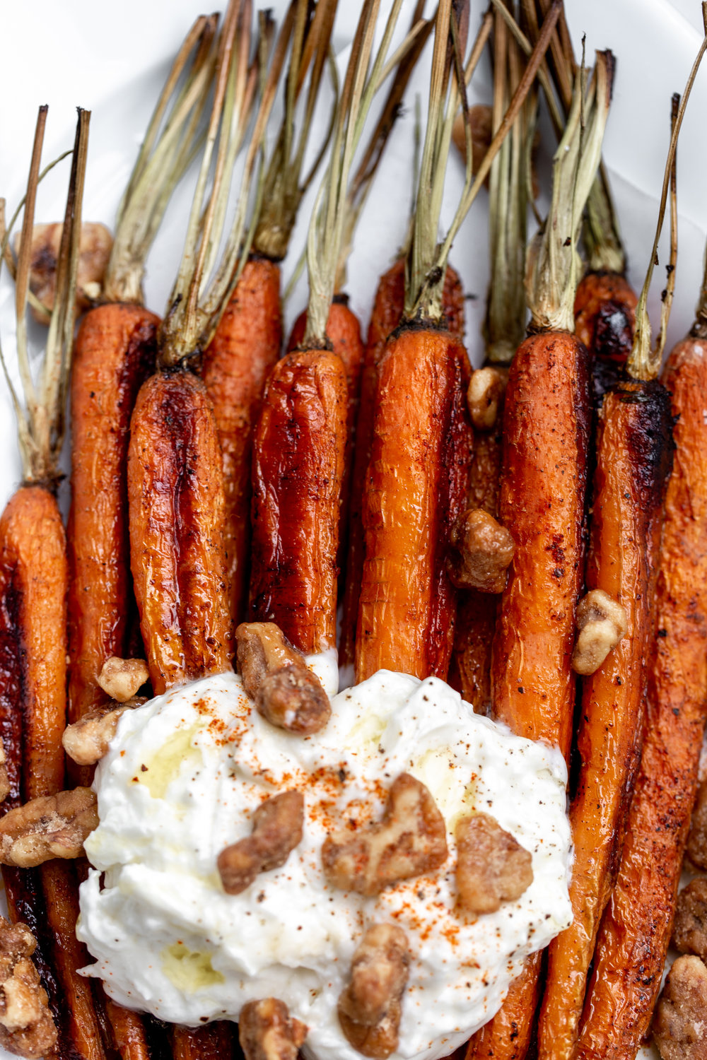 roasted carrots with creamy burrata cheese and some crispy, glazed walnuts