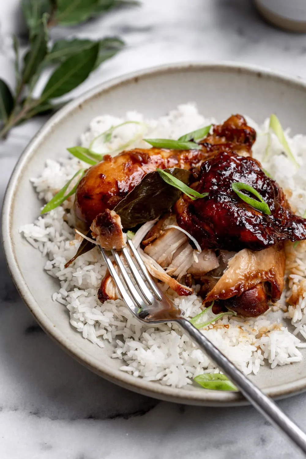 closeup filipino chicken adobo recipe over rice garnished with green onion