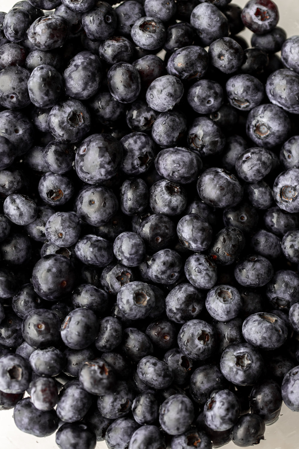 blueberries closeup