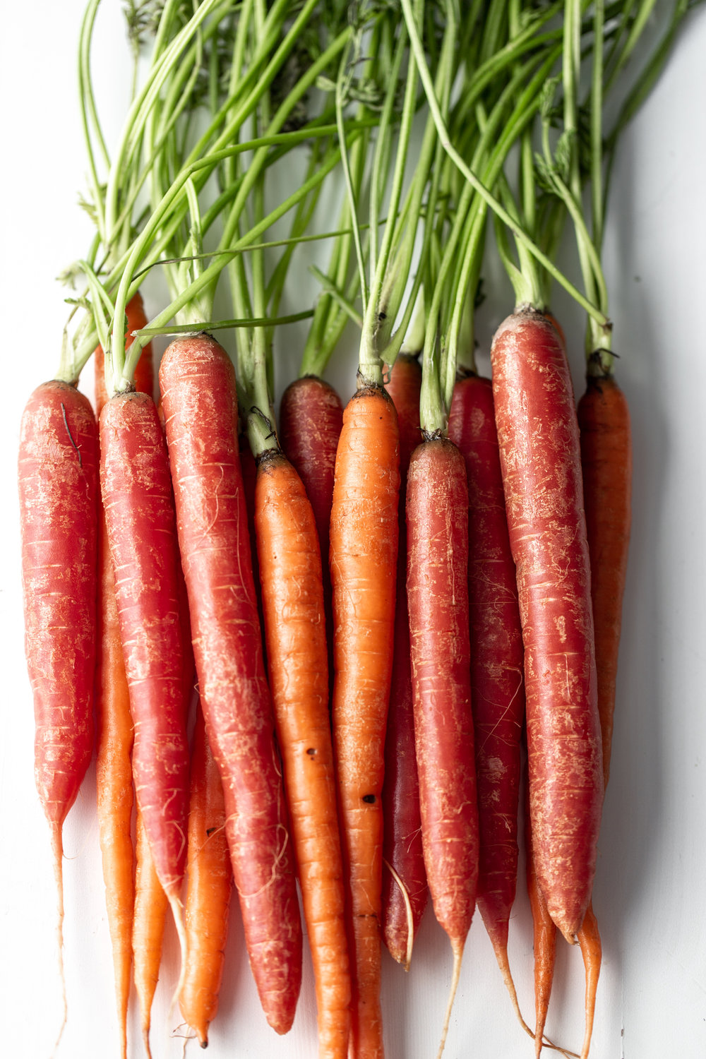 carrots with stems 