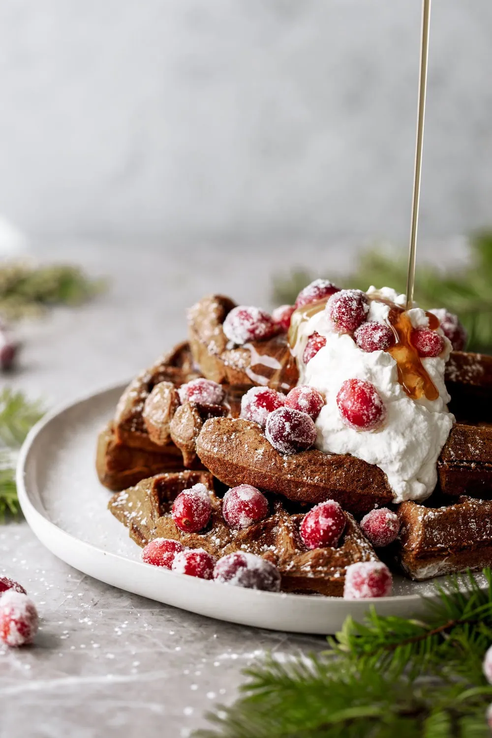 gingerbread waffles with sugared cranberries and fresh whipped cream and maple syrup