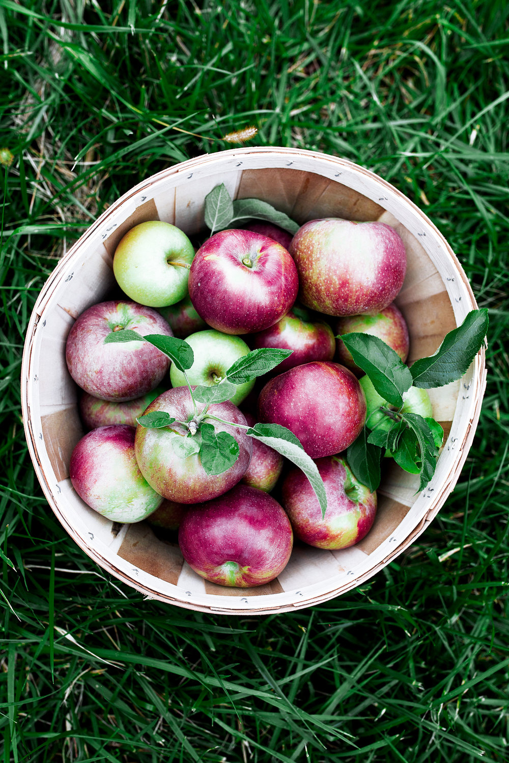 apples in wood basket