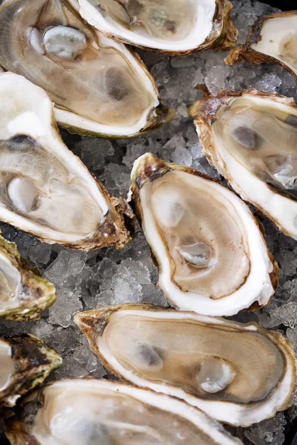 shucked raw oysters on the half shell