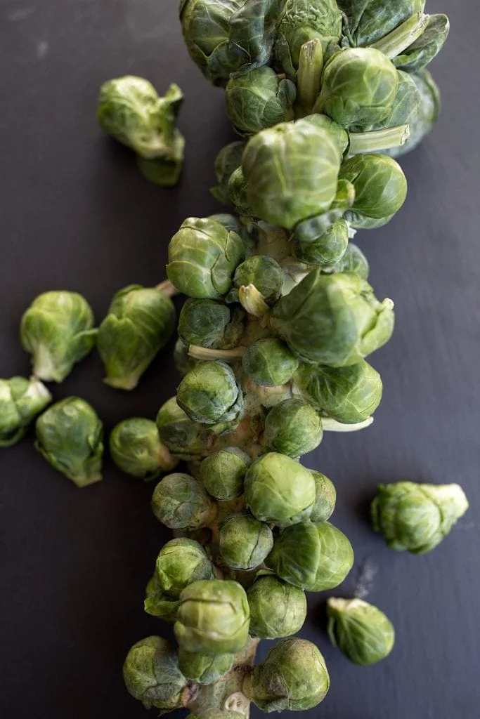 stalk of brussels sprouts