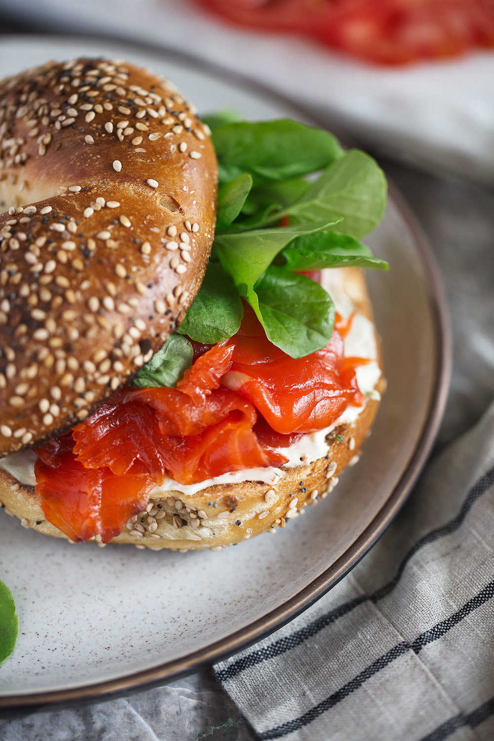 cured salmon gravlax bagel