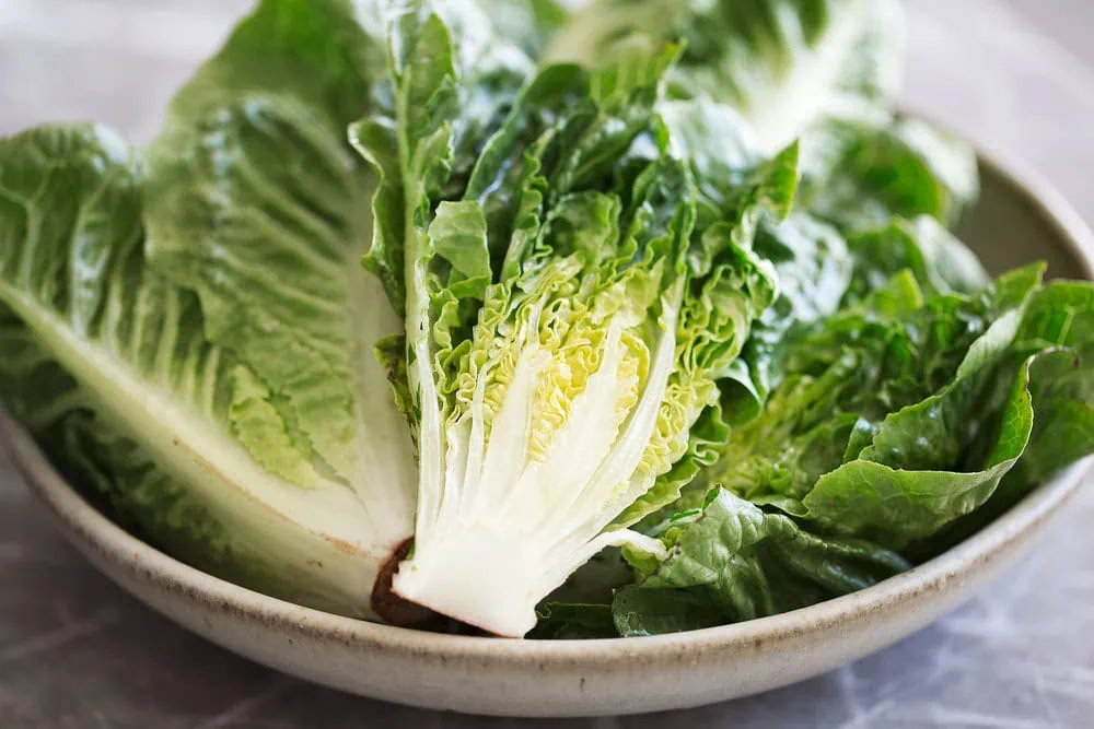 mini romaine little gem lettuce