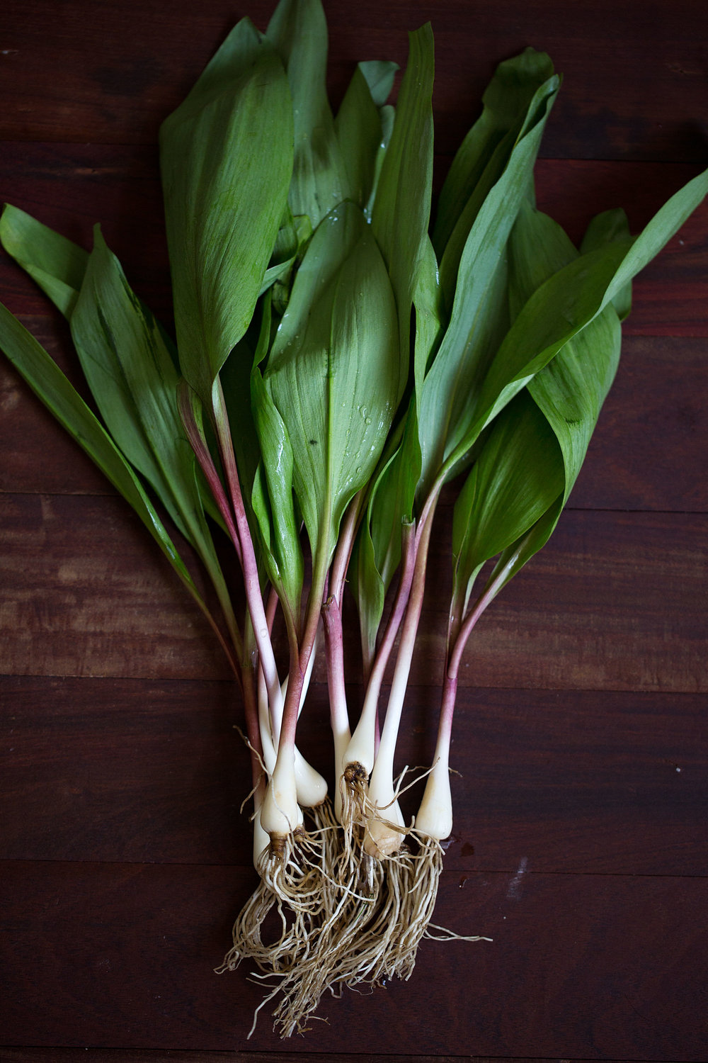 ramps