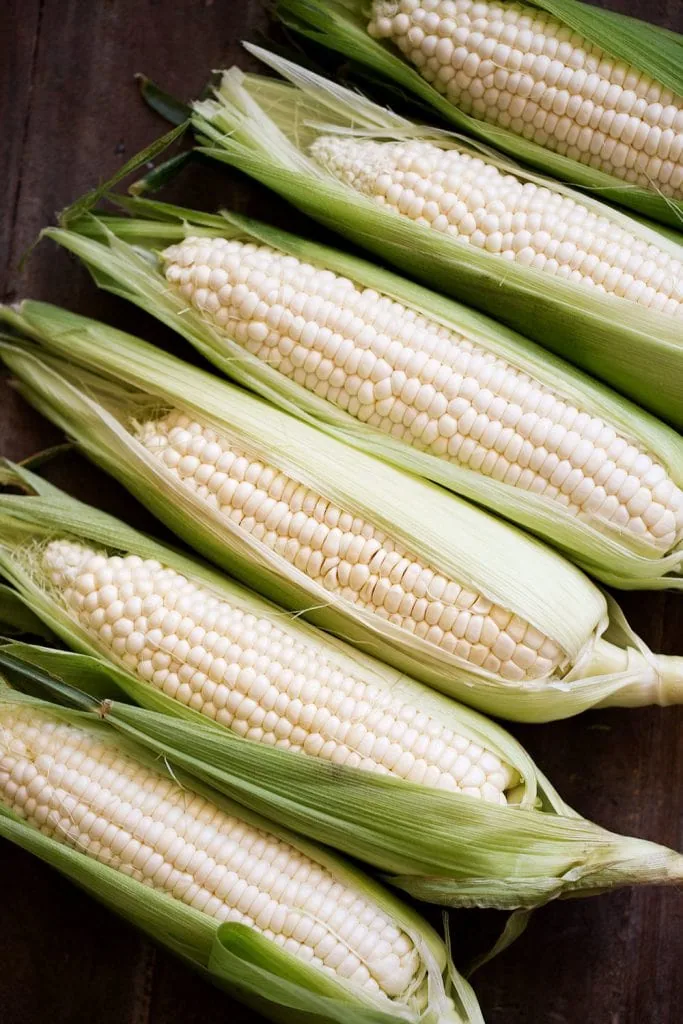 corn cobs on wood background