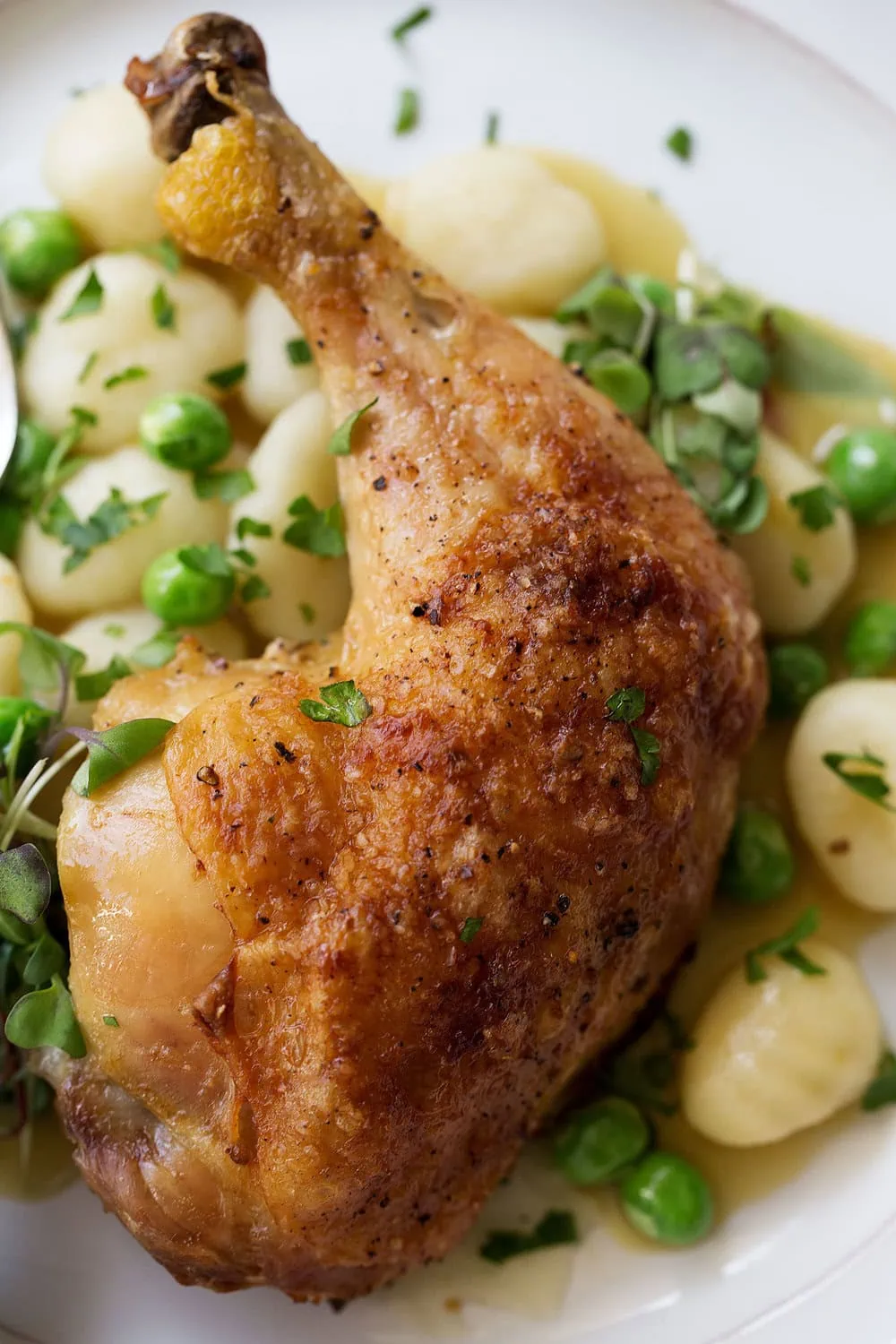 roast chicken and gnocchi dumplings closeup