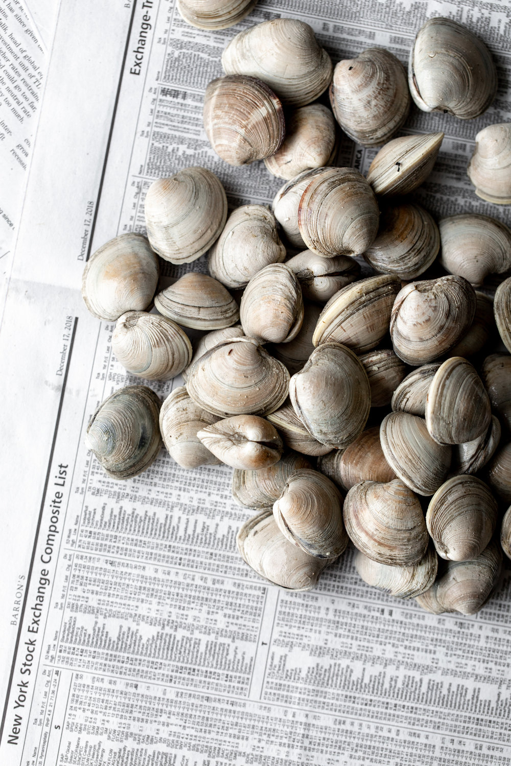 littleneck clams on newspaper