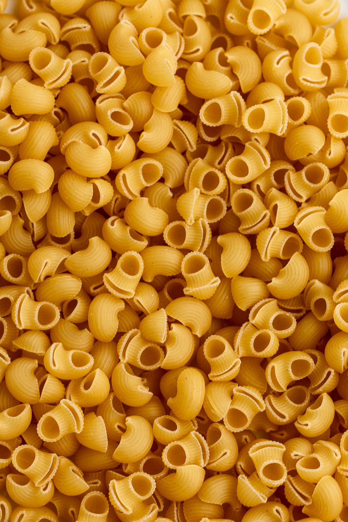pipe rigate pasta noodles.
