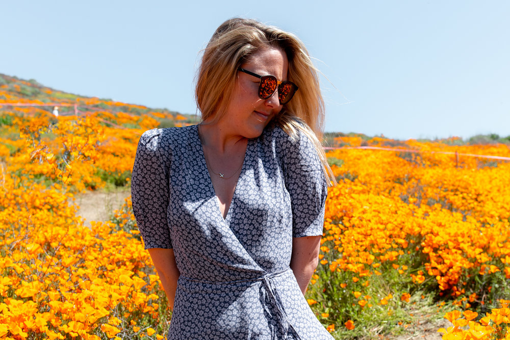 super bloom-67.jpg