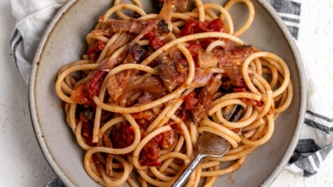 bucatini all'amatriciana pasta noodles.