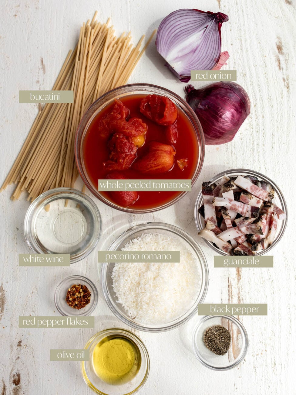 Bucatini all'amatriciana pasta labeled ingredient photo flatlay