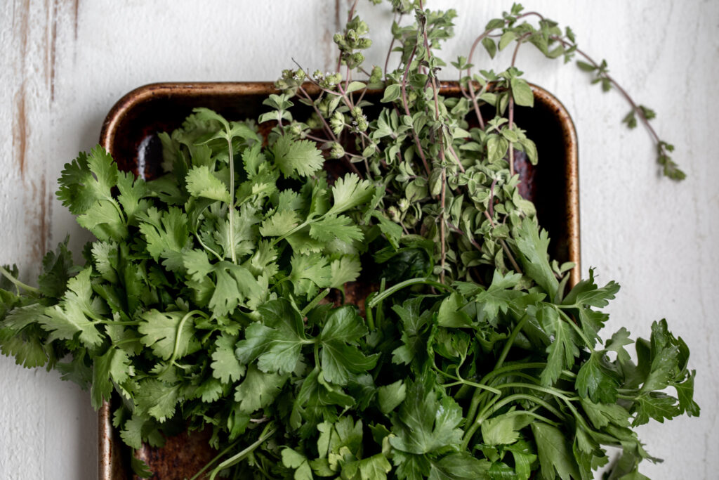 kitchen staples list herbs oregano, cilantro and parsley