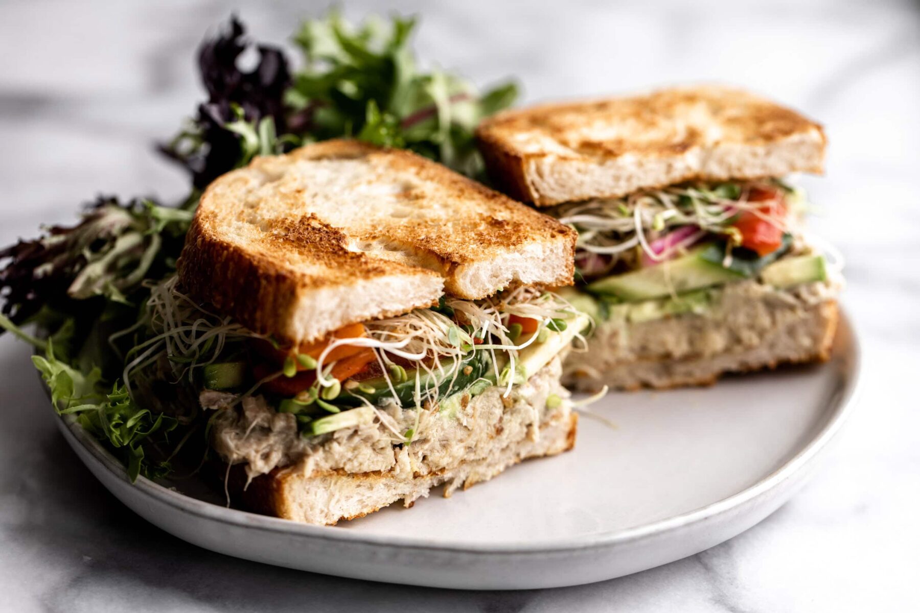 Confit Tuna Salad Sandwich-11