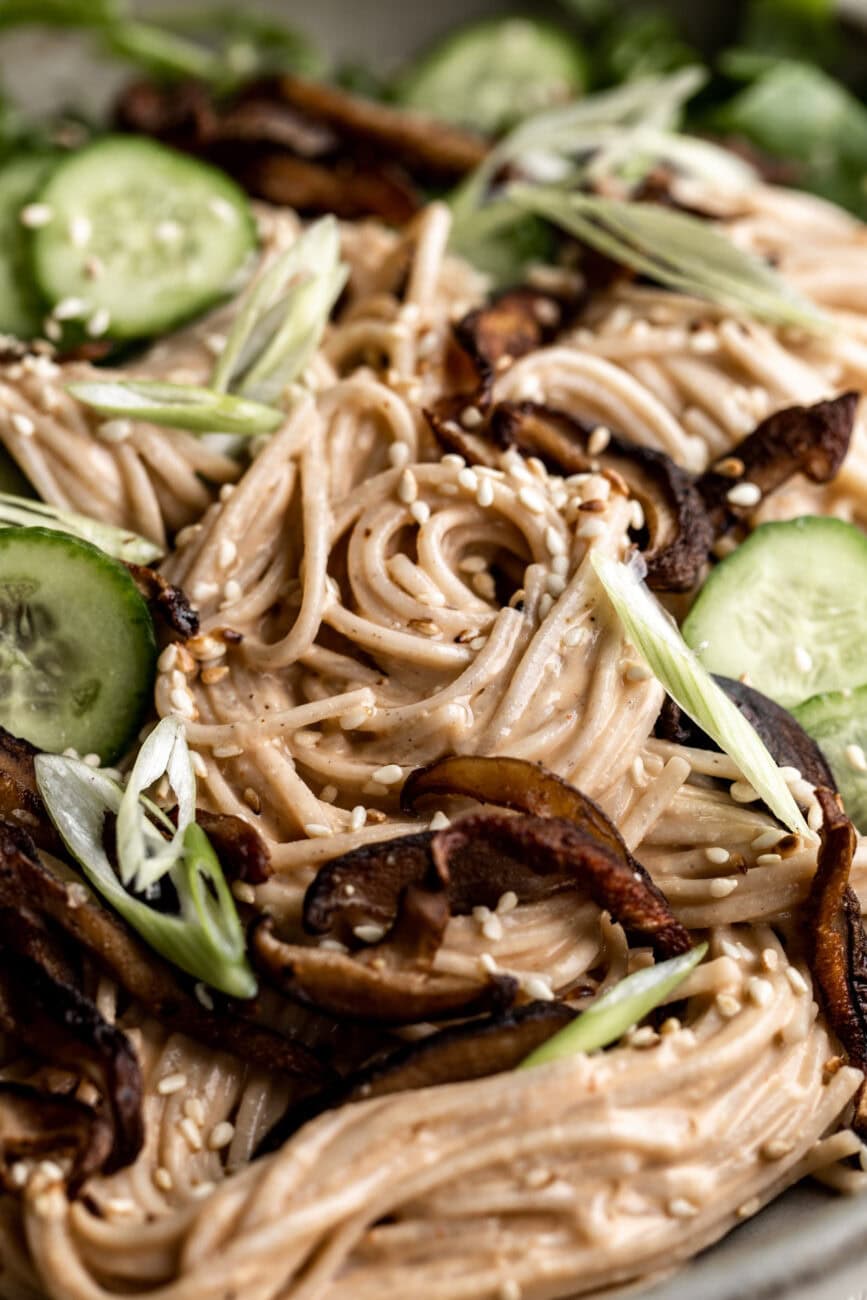 how to make Chilled Soba Noodle Salad.