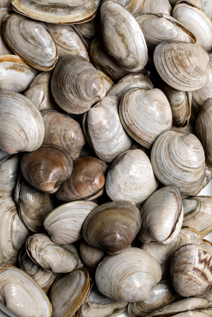 Simple Beer Steamed Clams