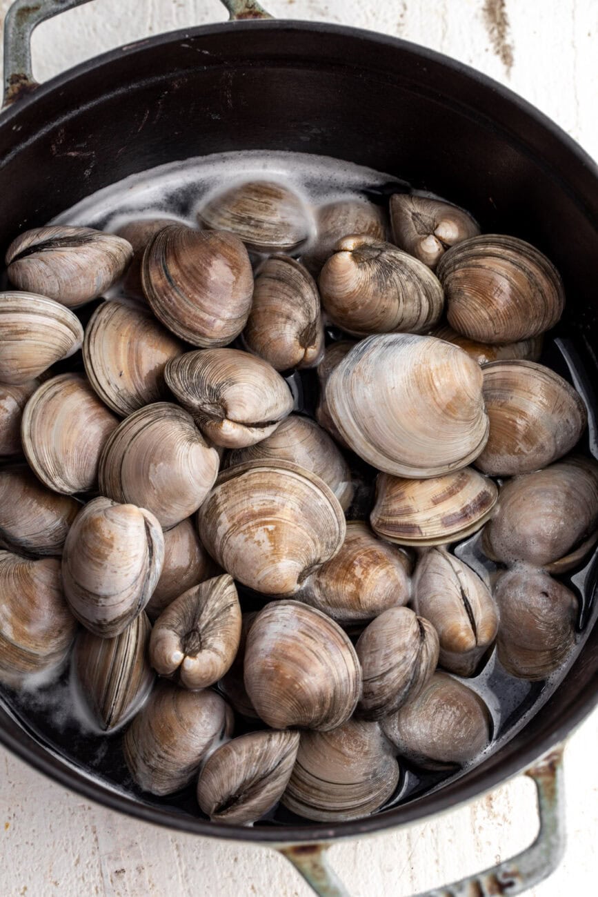 beer steamed clams ready to cover and steam.