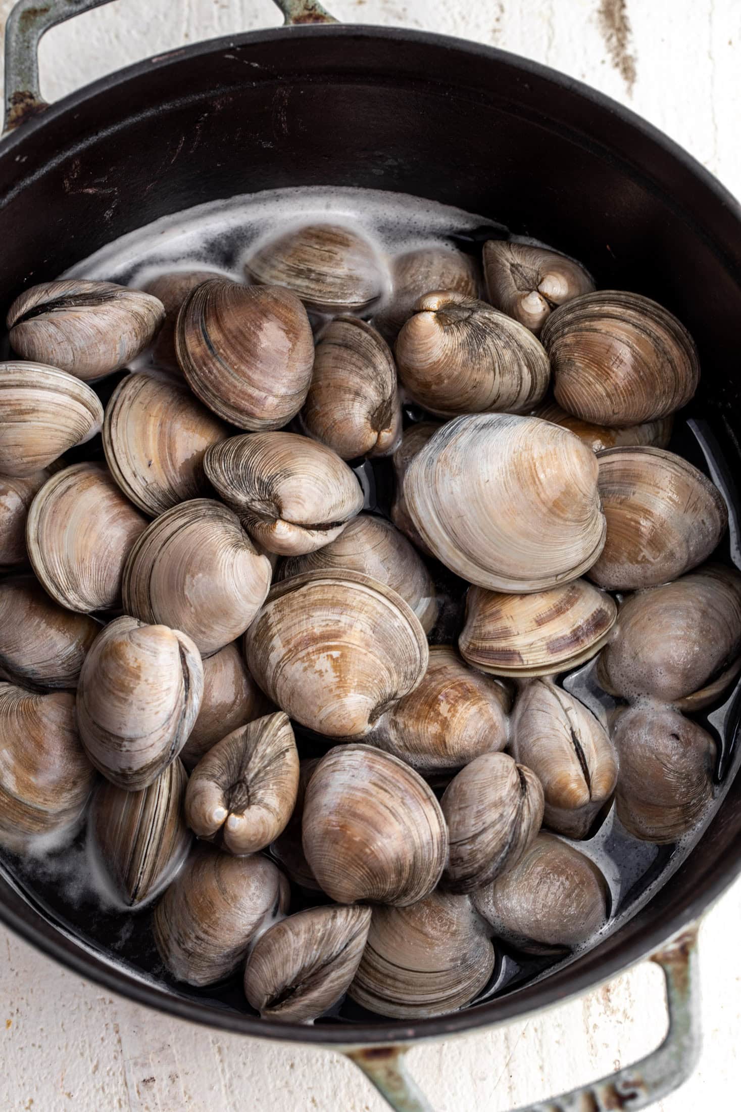 Steamed Clams In Beer , The Perfect Wine Pairing For Classic Clam ...