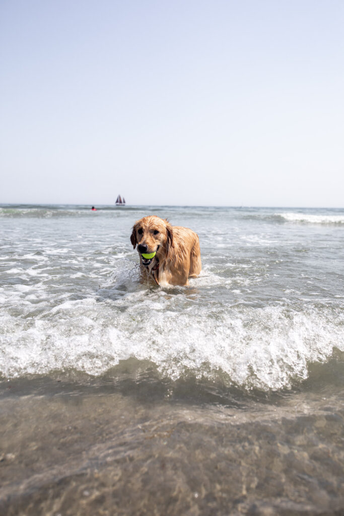 beaches in Kennebunkport 