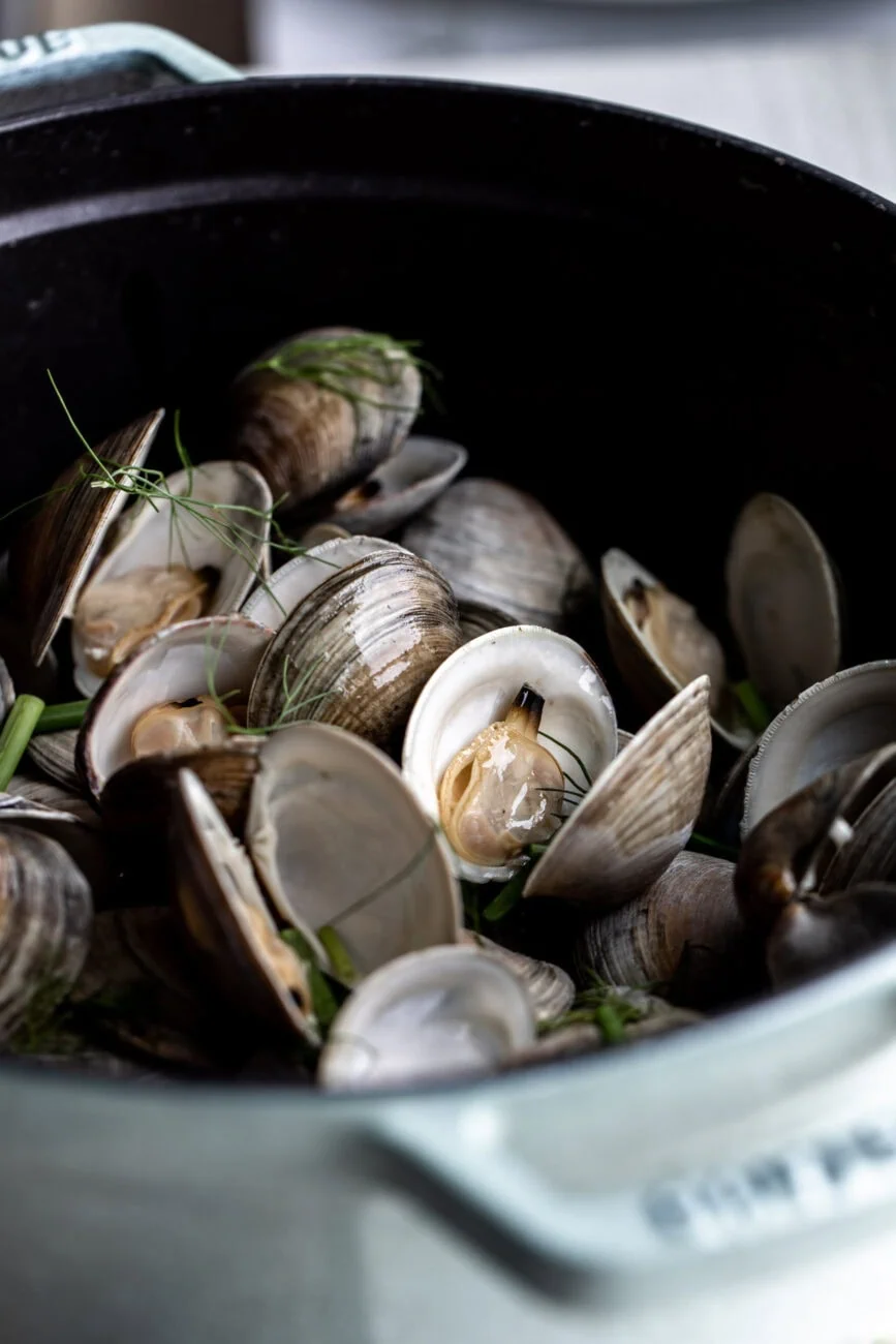 beer steamed clams garnished with fresh chopped herbs in Dutch oven.
