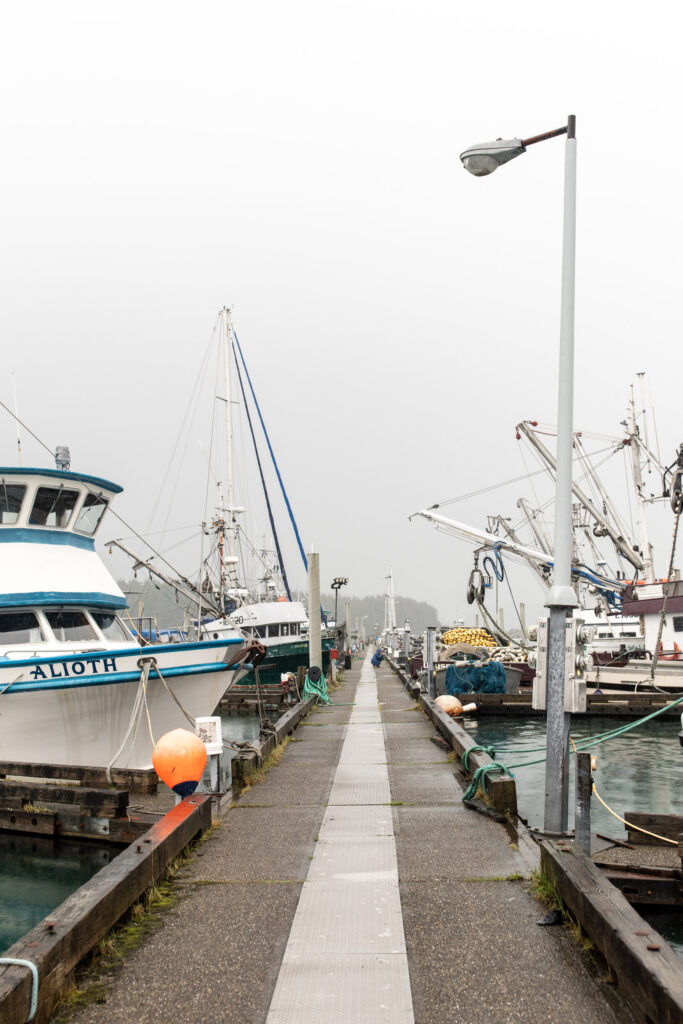 How is Alaskan Salmon a Sustainable Option?