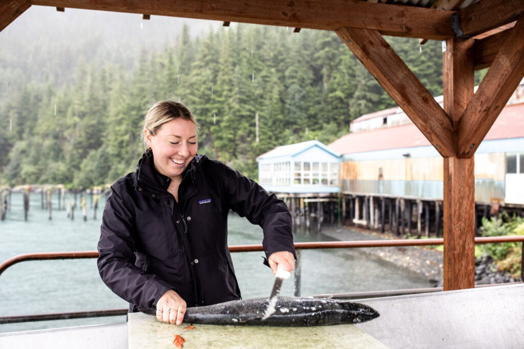 Dip Net Fishing for salmon in the Copper River, Alaska -- catching silvers  and kings 