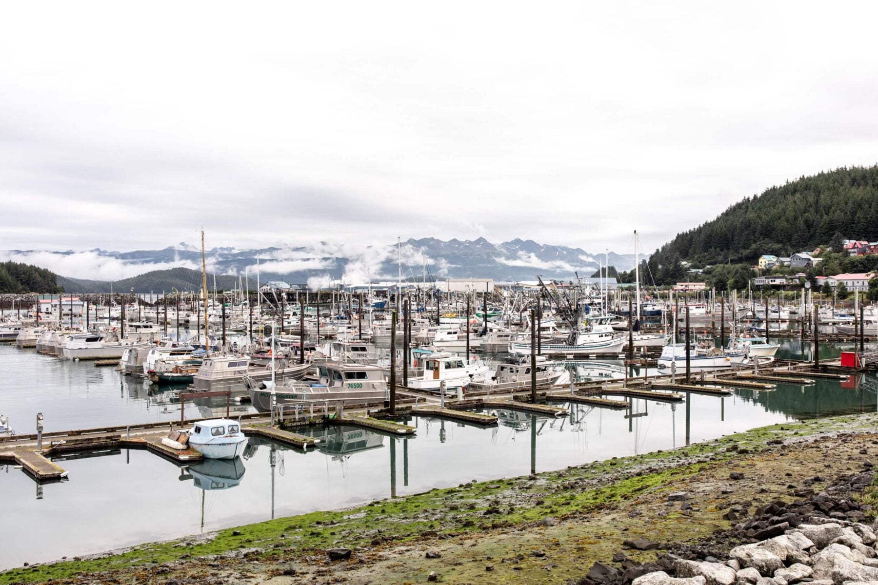 cordova, alaska harbor.