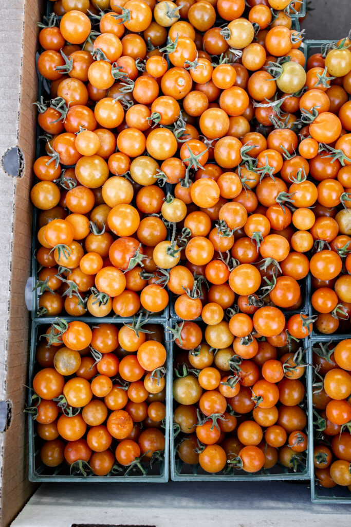 21 Recipes Using Juicy Summer Tomatoes