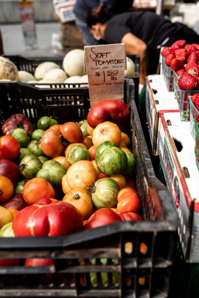 I've rounded up my favorite recipes using sweet and juicy summer tomatoes at their peak from pizza to sandwiches and salad.