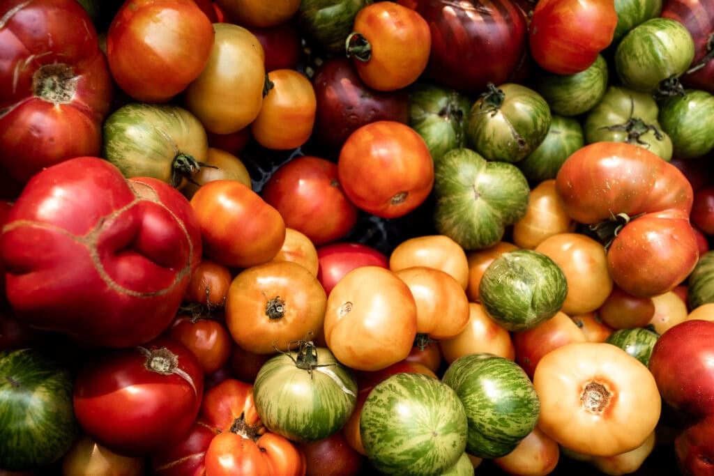 heirloom tomatoes from the santa monica farmers market.