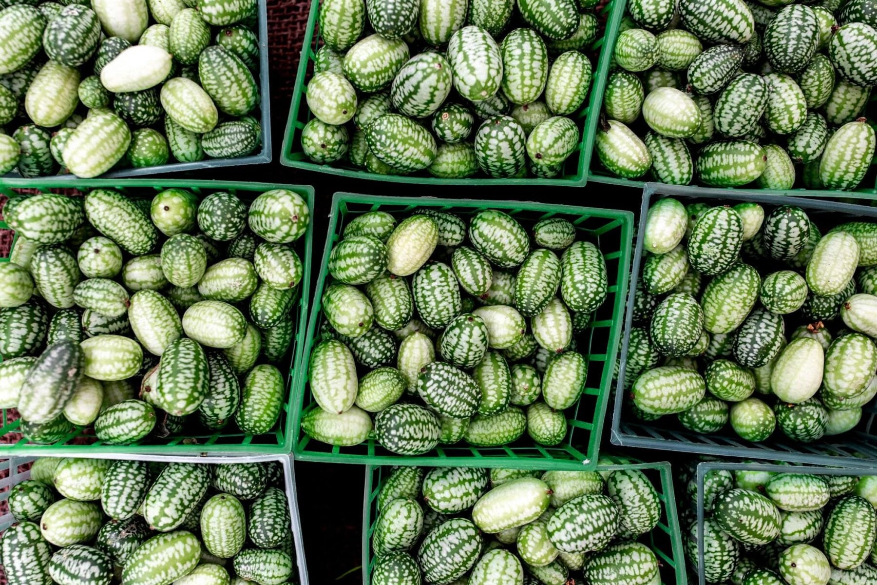 cucamelons small produce in baskets set out at the farmers market.