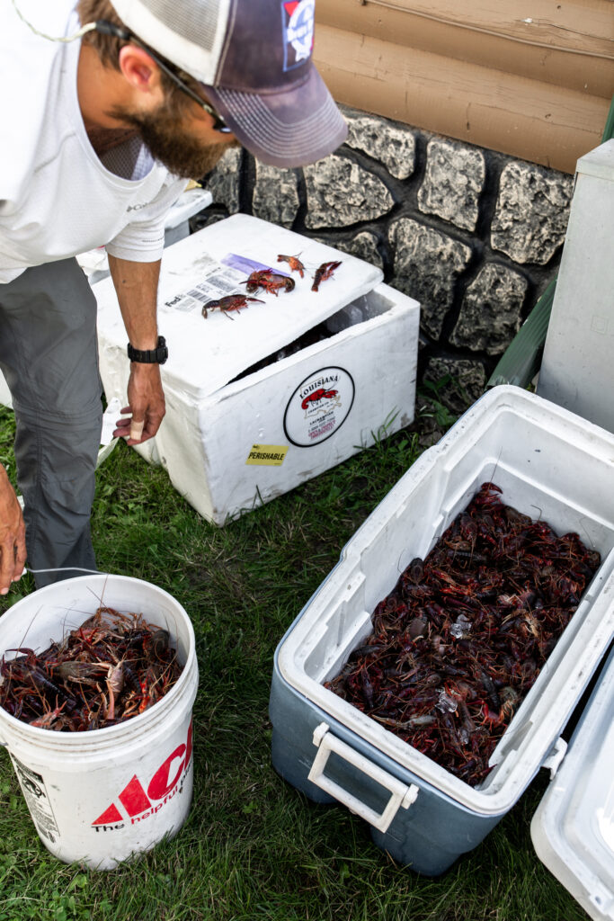 coolers filled with crawfish