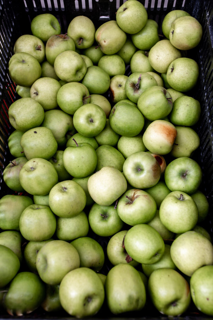 apple recipes from bushel of green granny smith apples