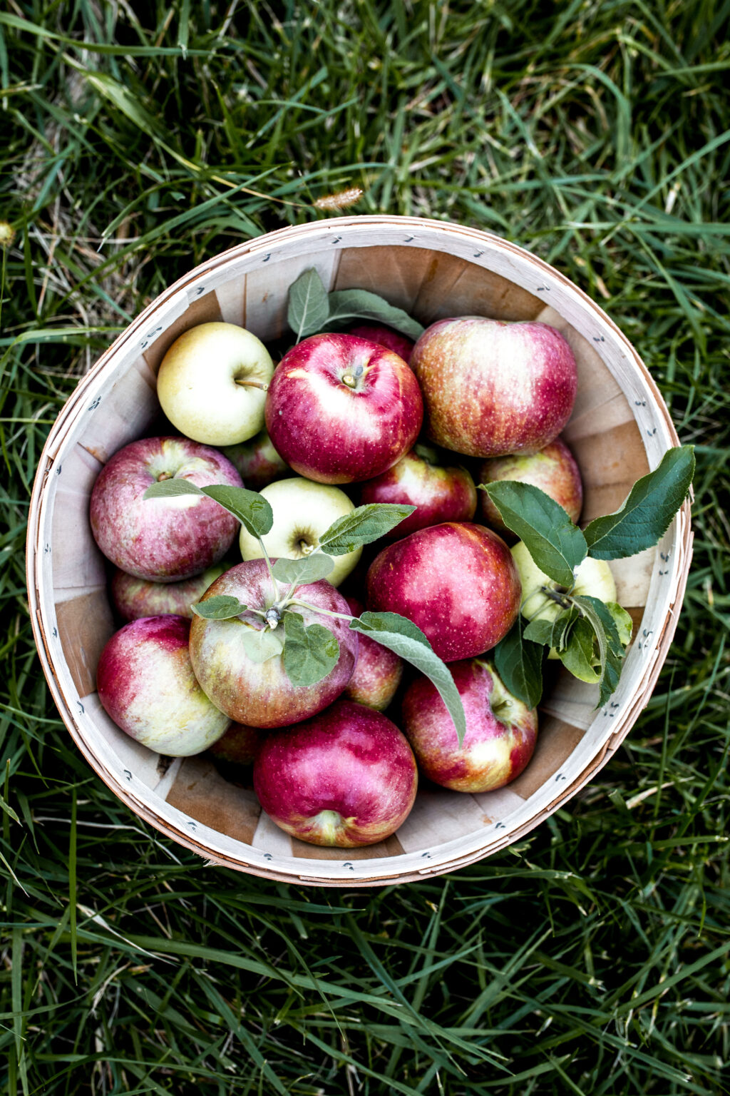 What to Do with Apples from Apple Picking Cooking with Cocktail Rings